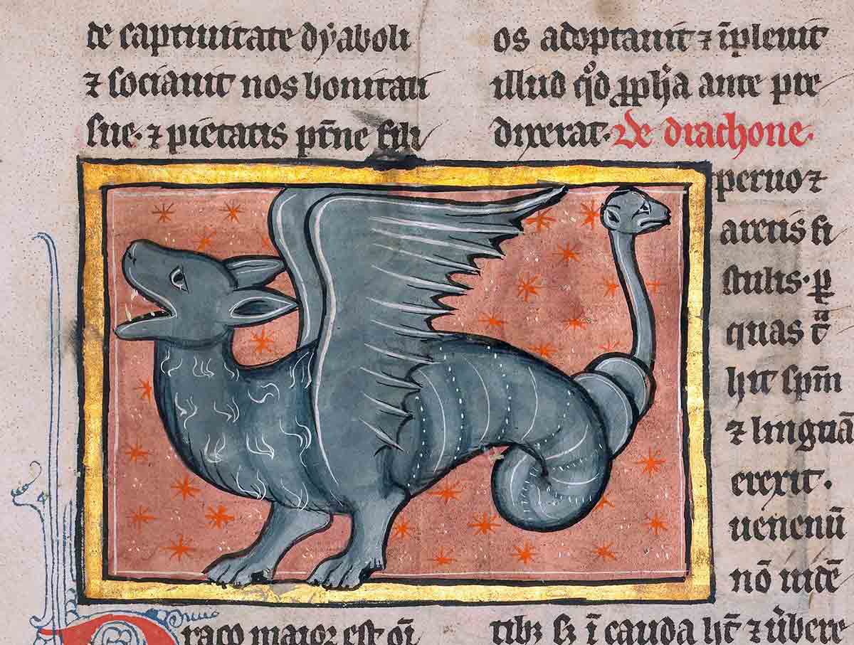 dragon MS Ludwig
