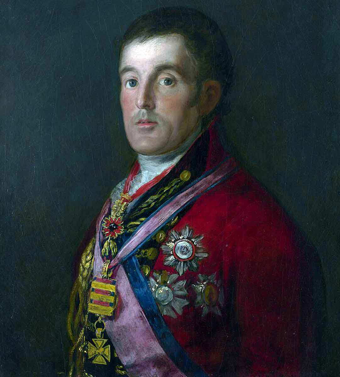 duke of wellington goya painting