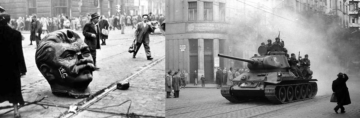 freedom fighter tank