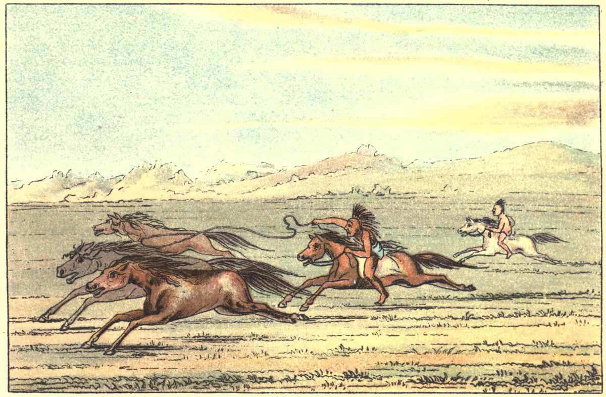 george catlin comanche catching wild horses
