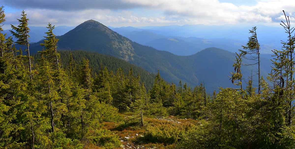 gorgany nature reserve wikimedia yupanka