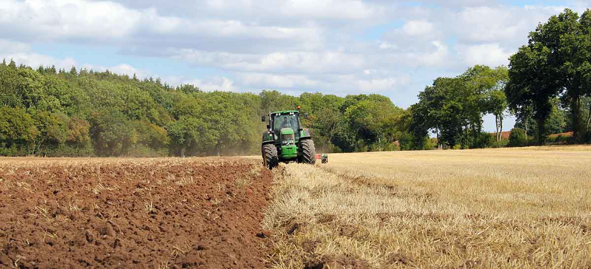 green tractor farming