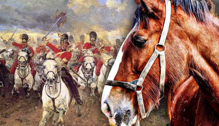How Horses Shaped Human Civilization