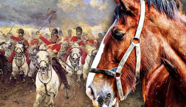 horses history human civilization