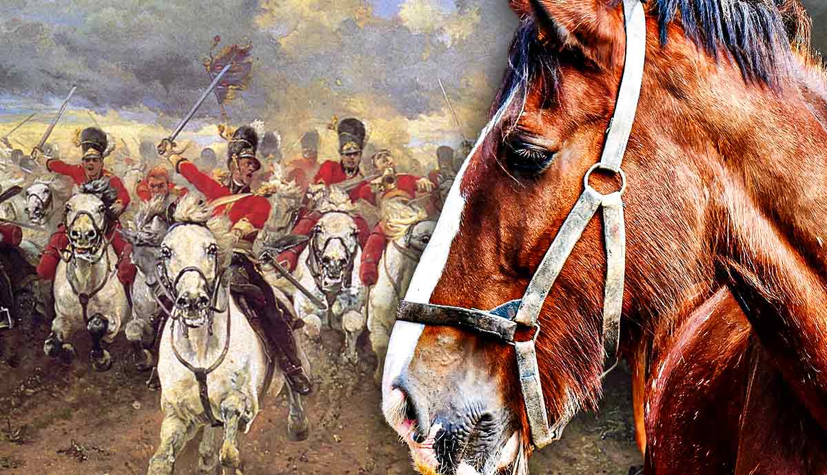 How Horses Shaped Human Civilization