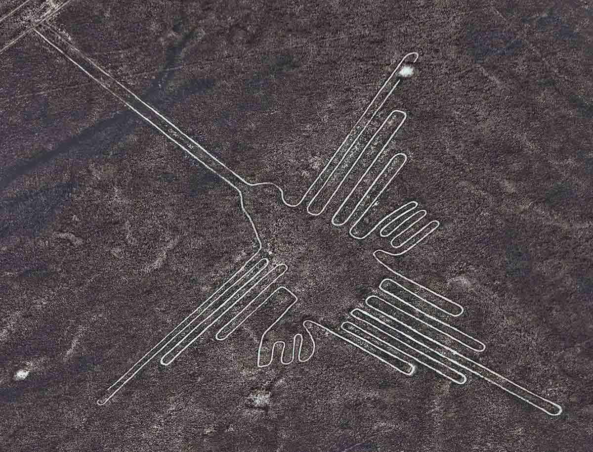 hummingbird nazca lines