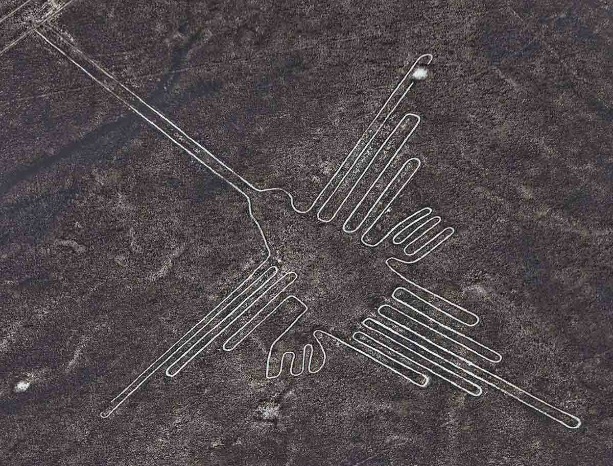 hummingbird nazca lines