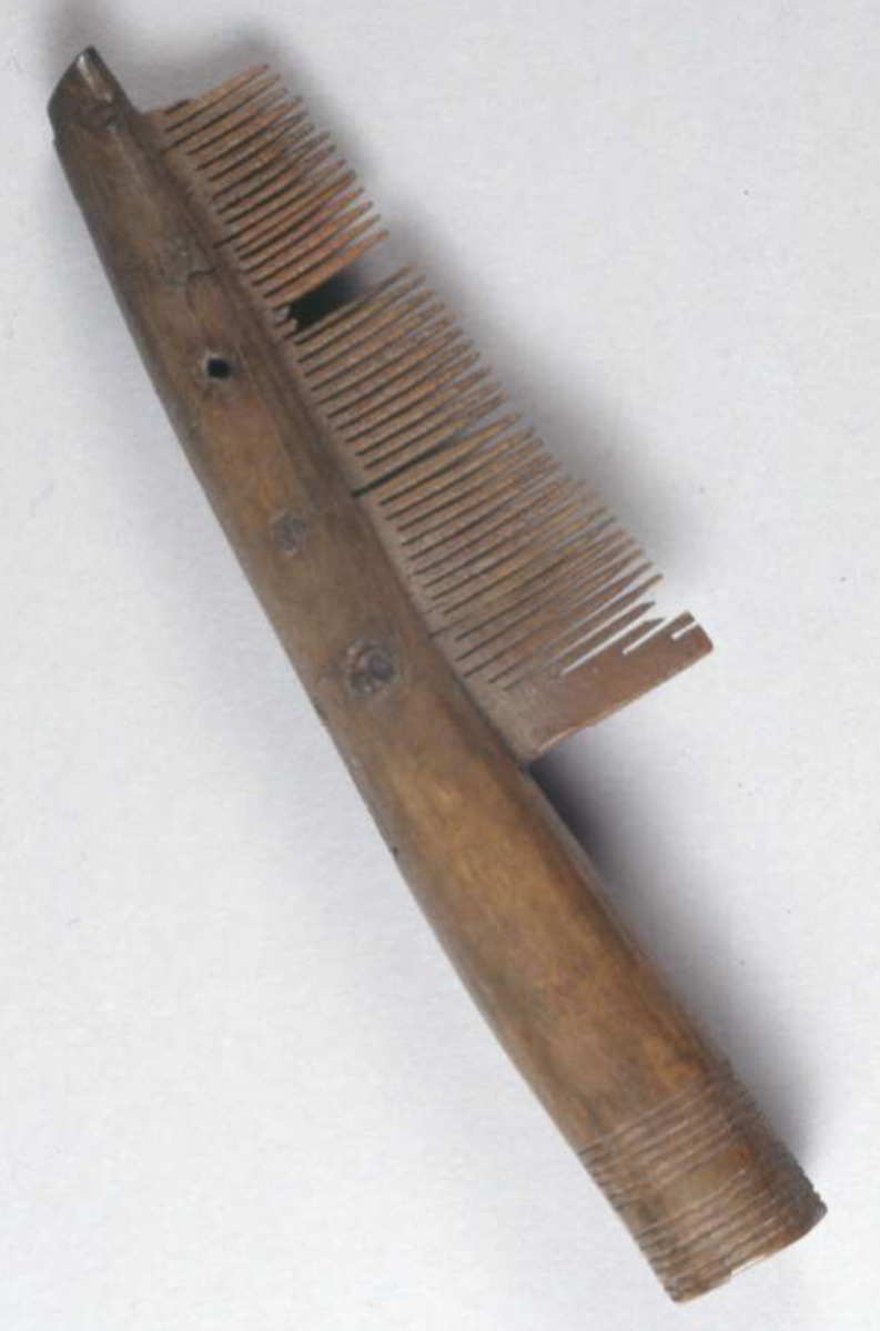 hygiene comb anglo saxon