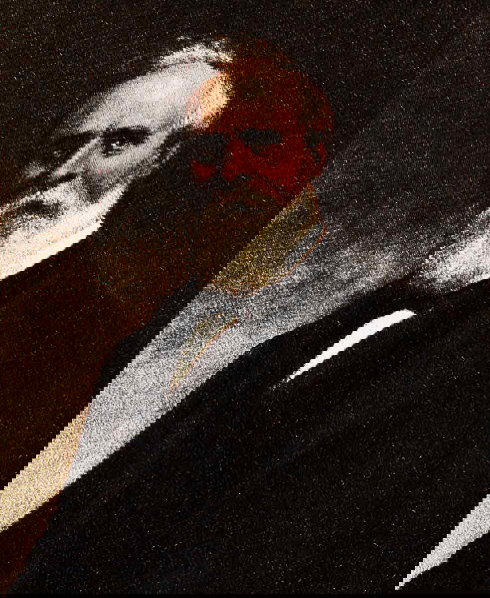 illustration of hayes book