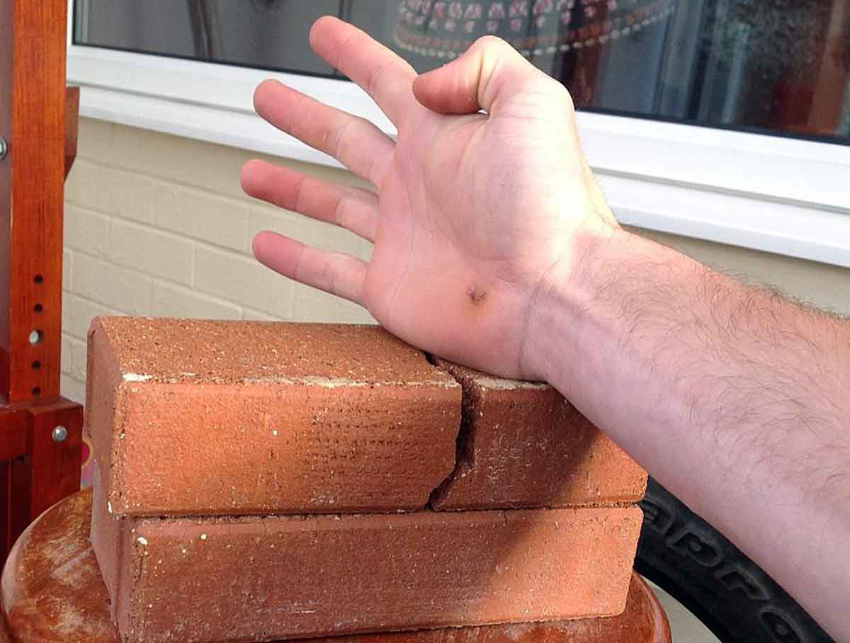 iron palm breaking bricks