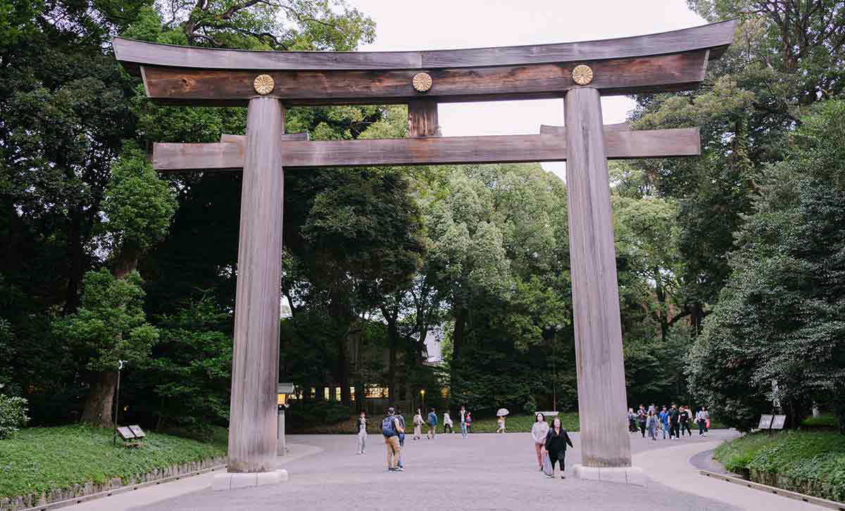 meiji jingu torii