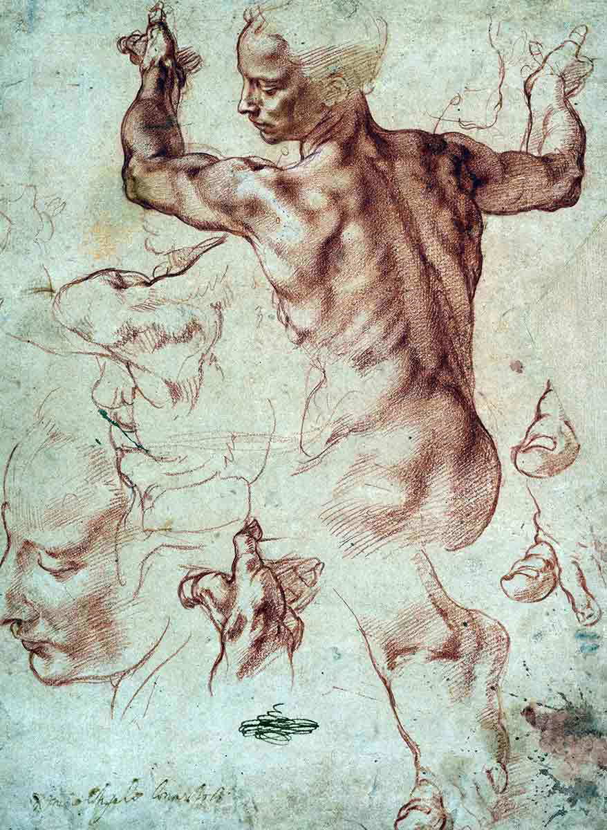 michelangelo drawing libyan sibyl met museum