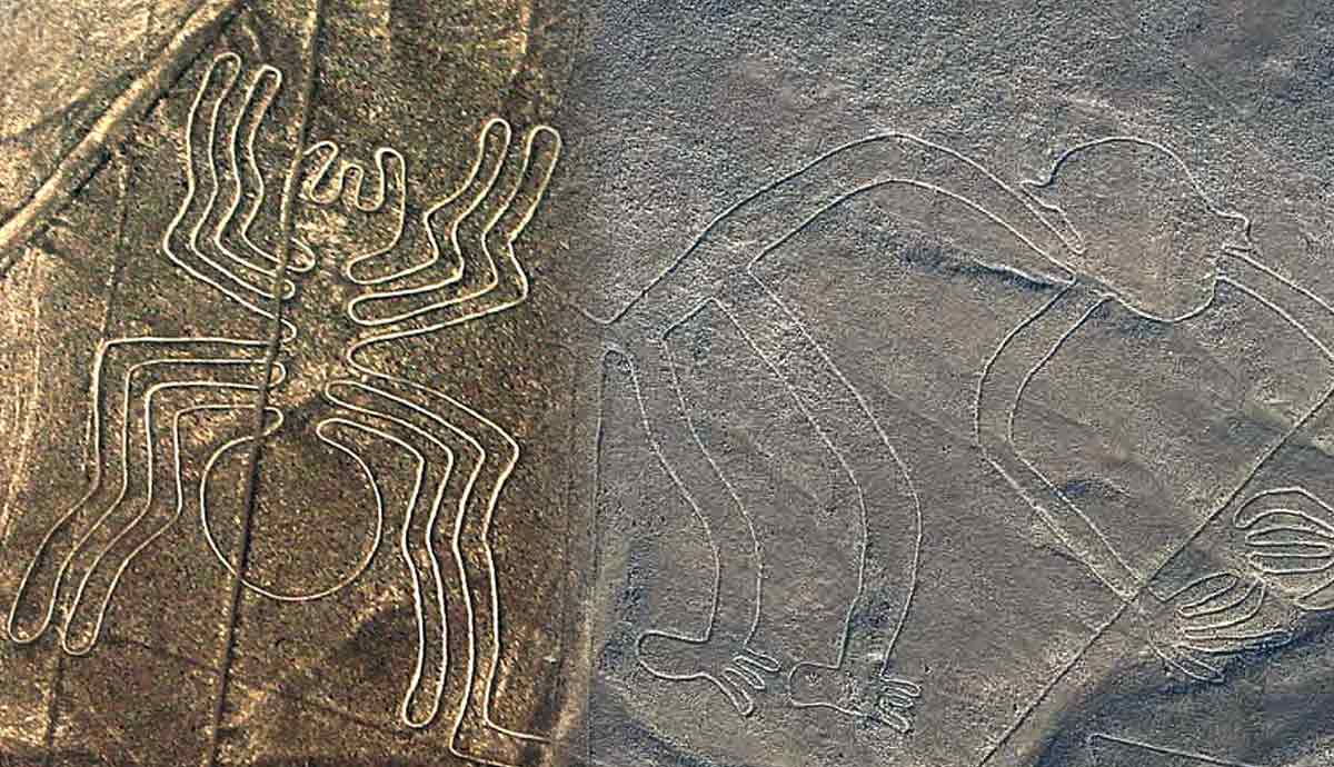 most intriguing nazca lines