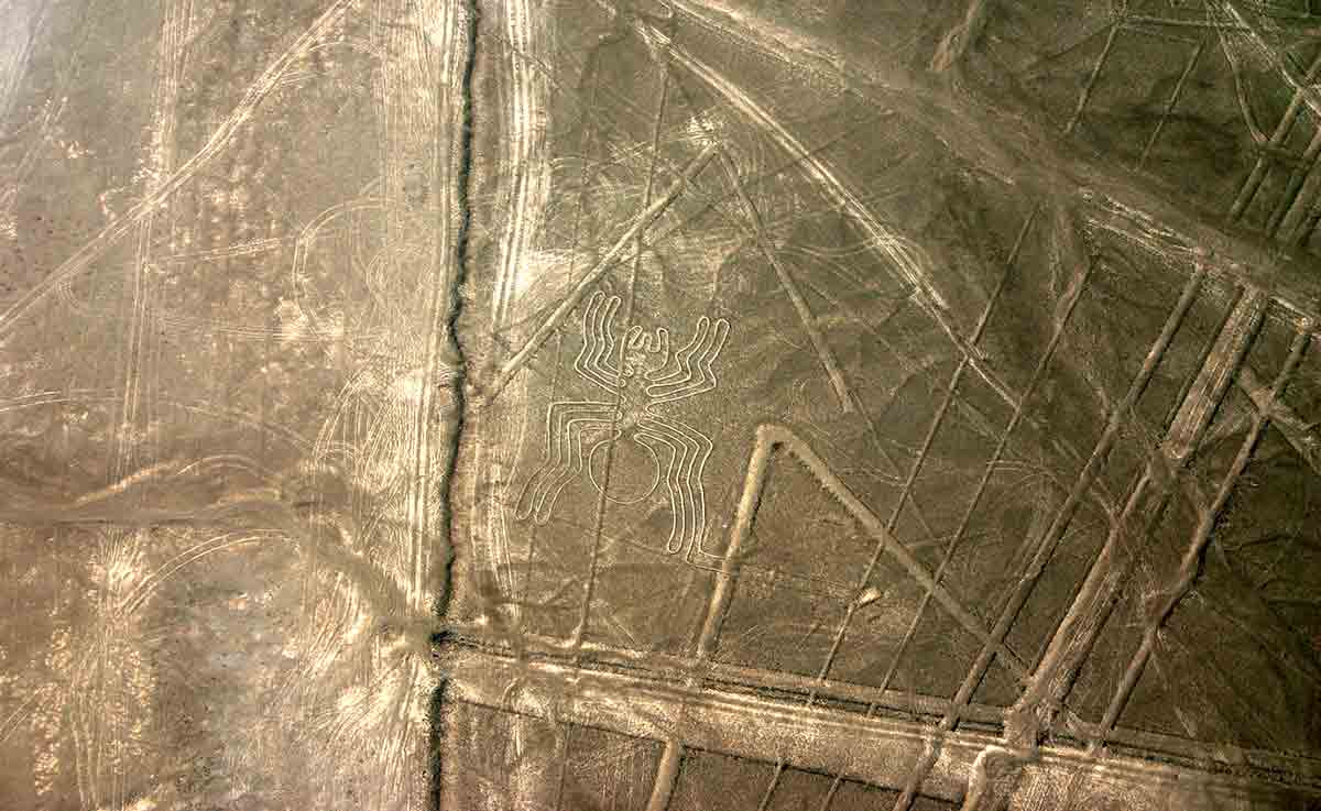 nazca-lines-spider