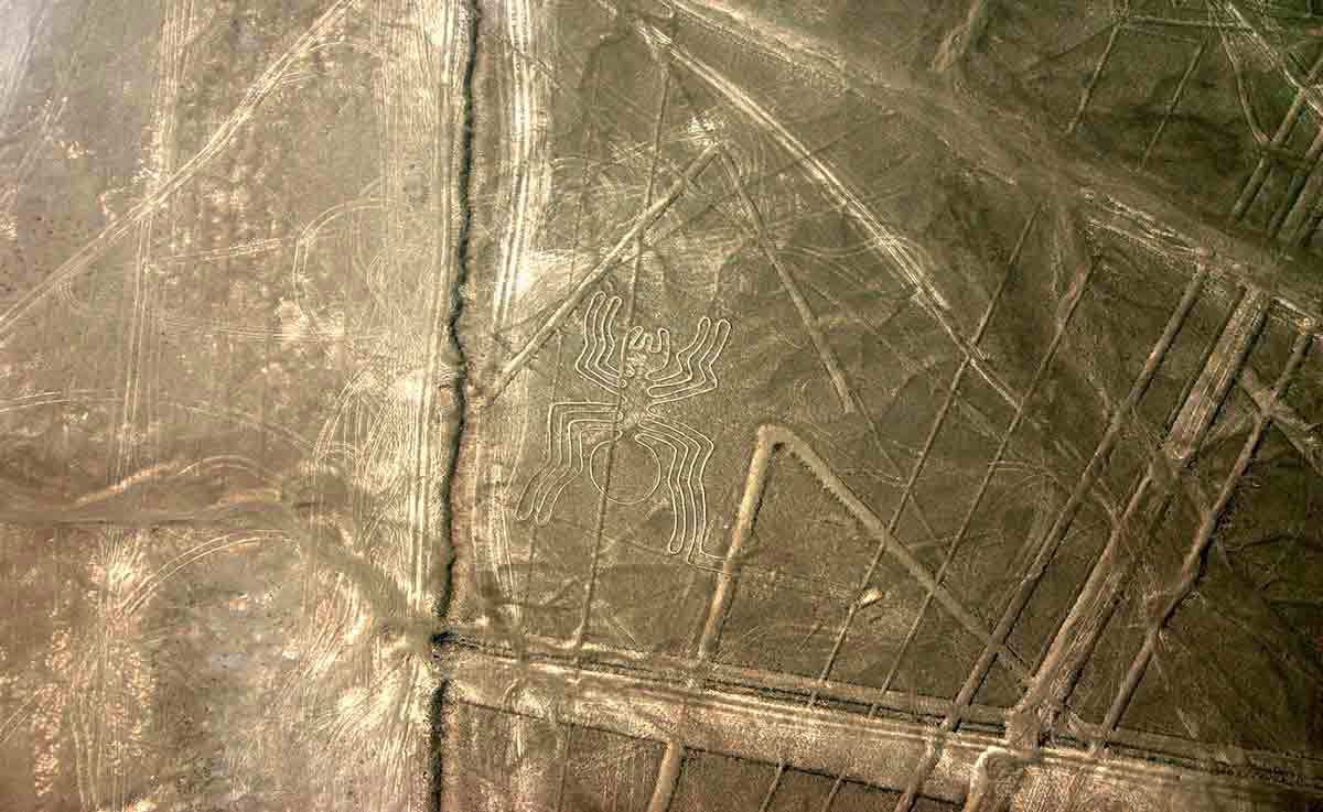 nazca-lines-spider