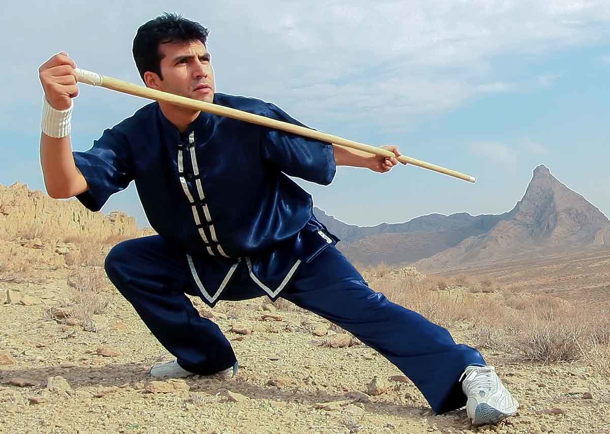 nortern shaolin style kung fu
