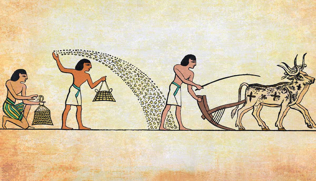 origins agriculture domesticated crops livestock