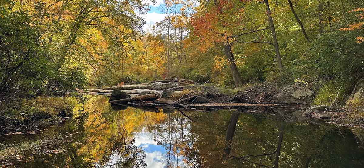 prince william forest park water