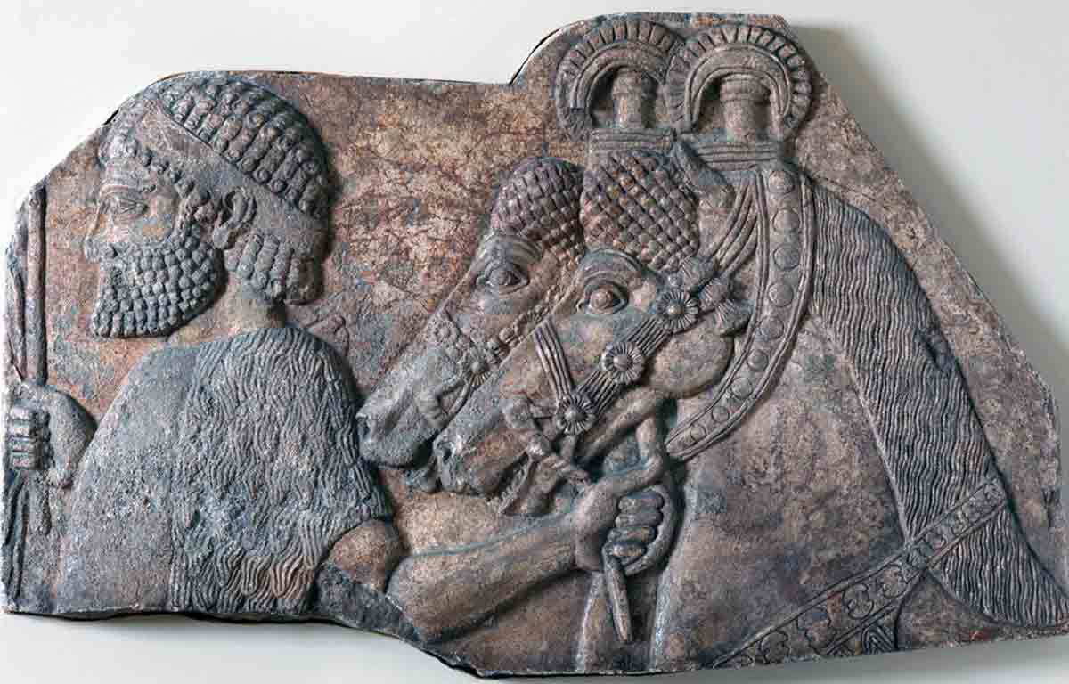 sargon attendant capital
