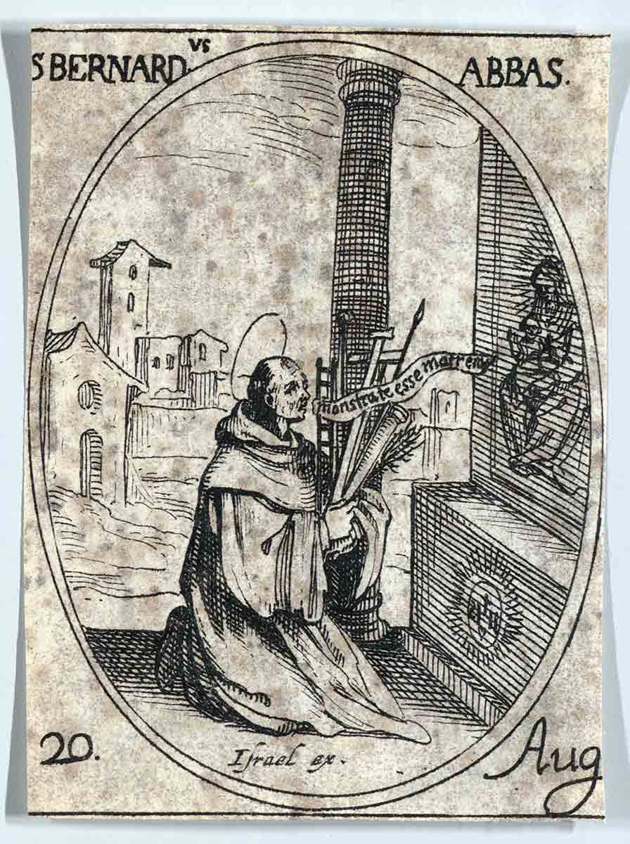 st bernard