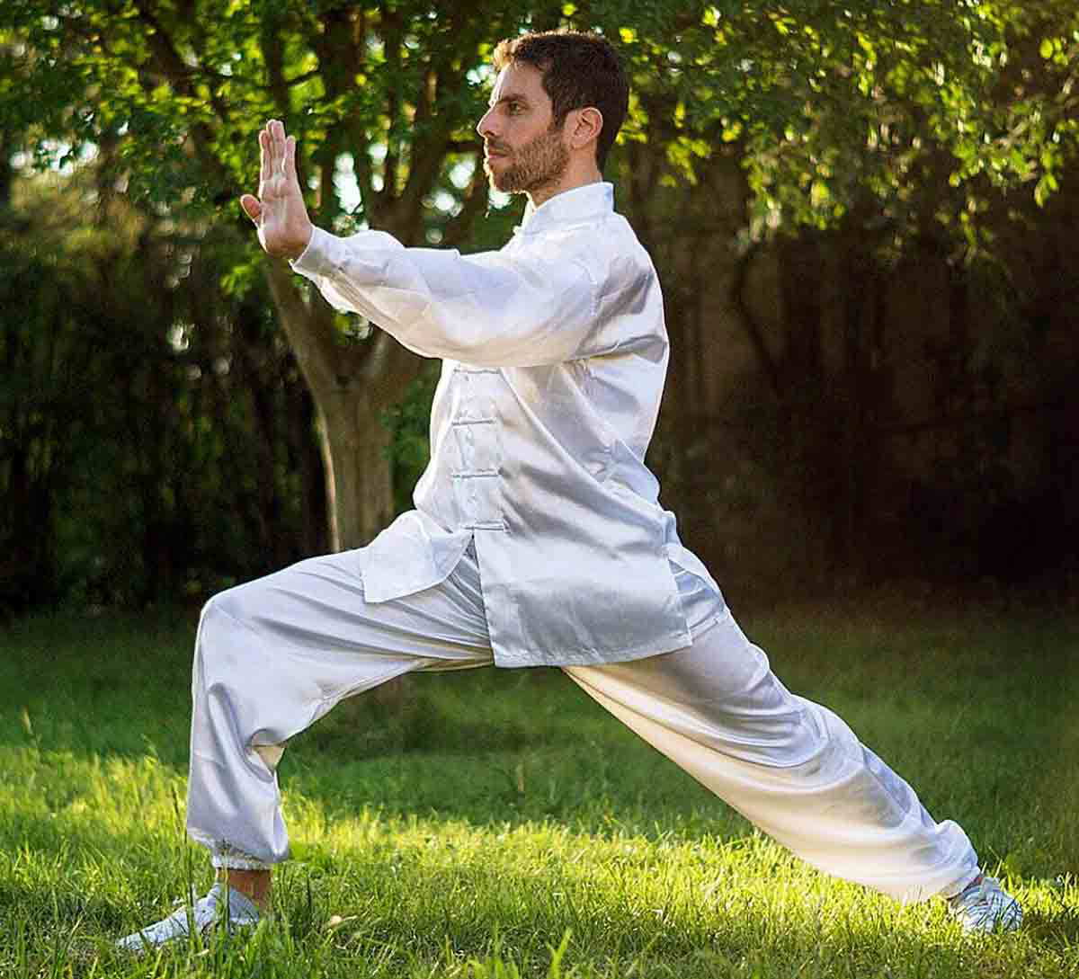 tai chi qi