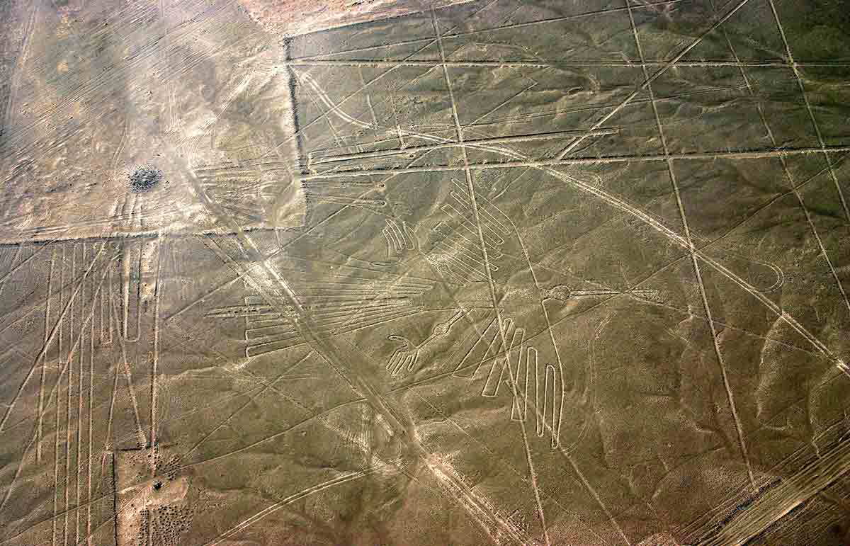 the condor nazca lines