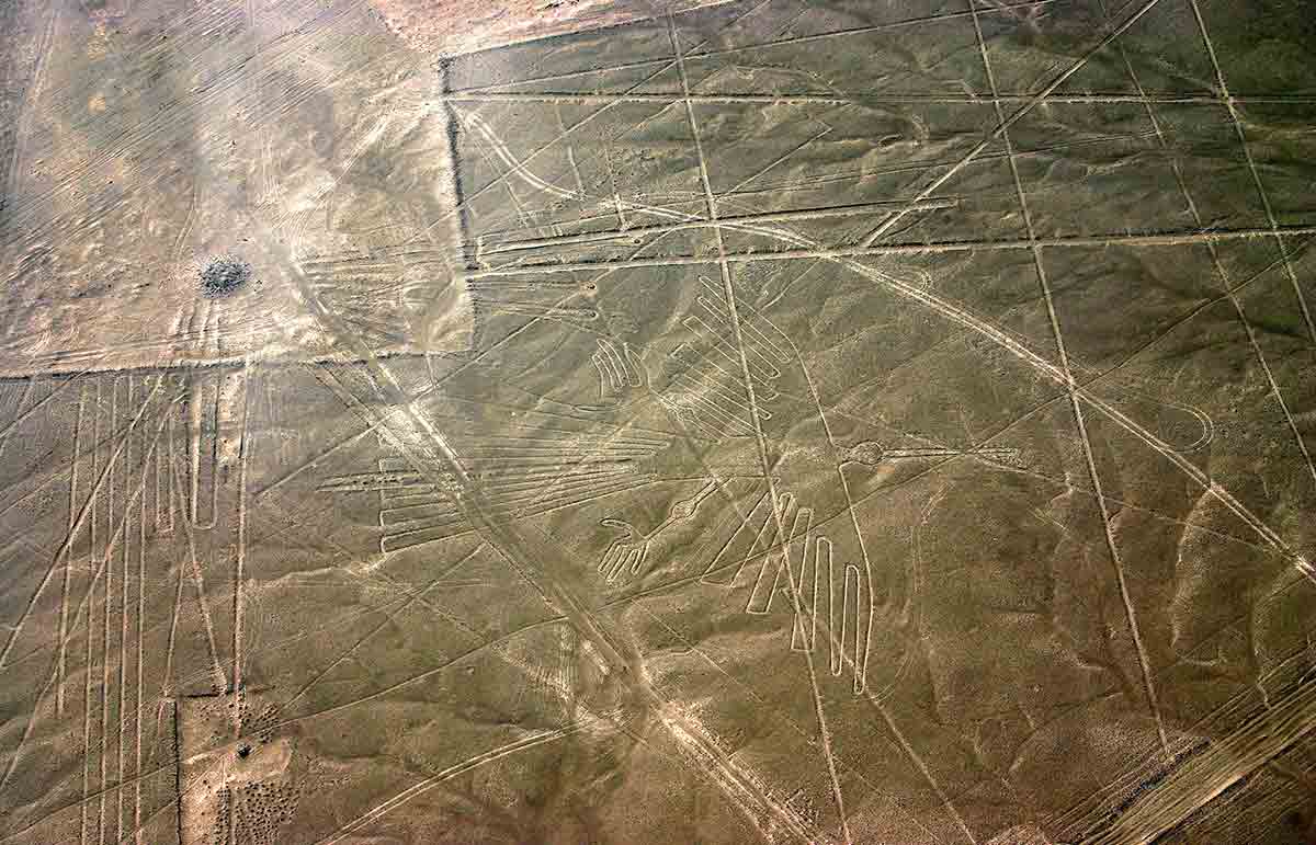 the condor nazca lines