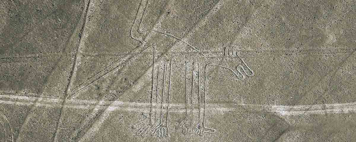the dog nazca lines