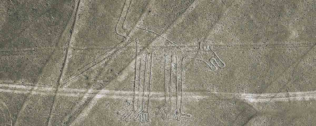 the dog nazca lines