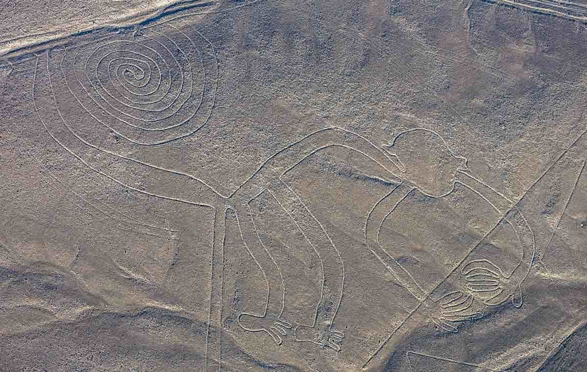 the monkey nazca lines