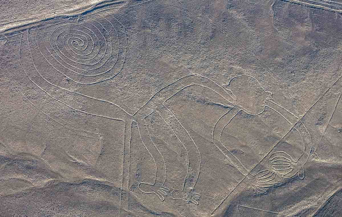 the monkey nazca lines