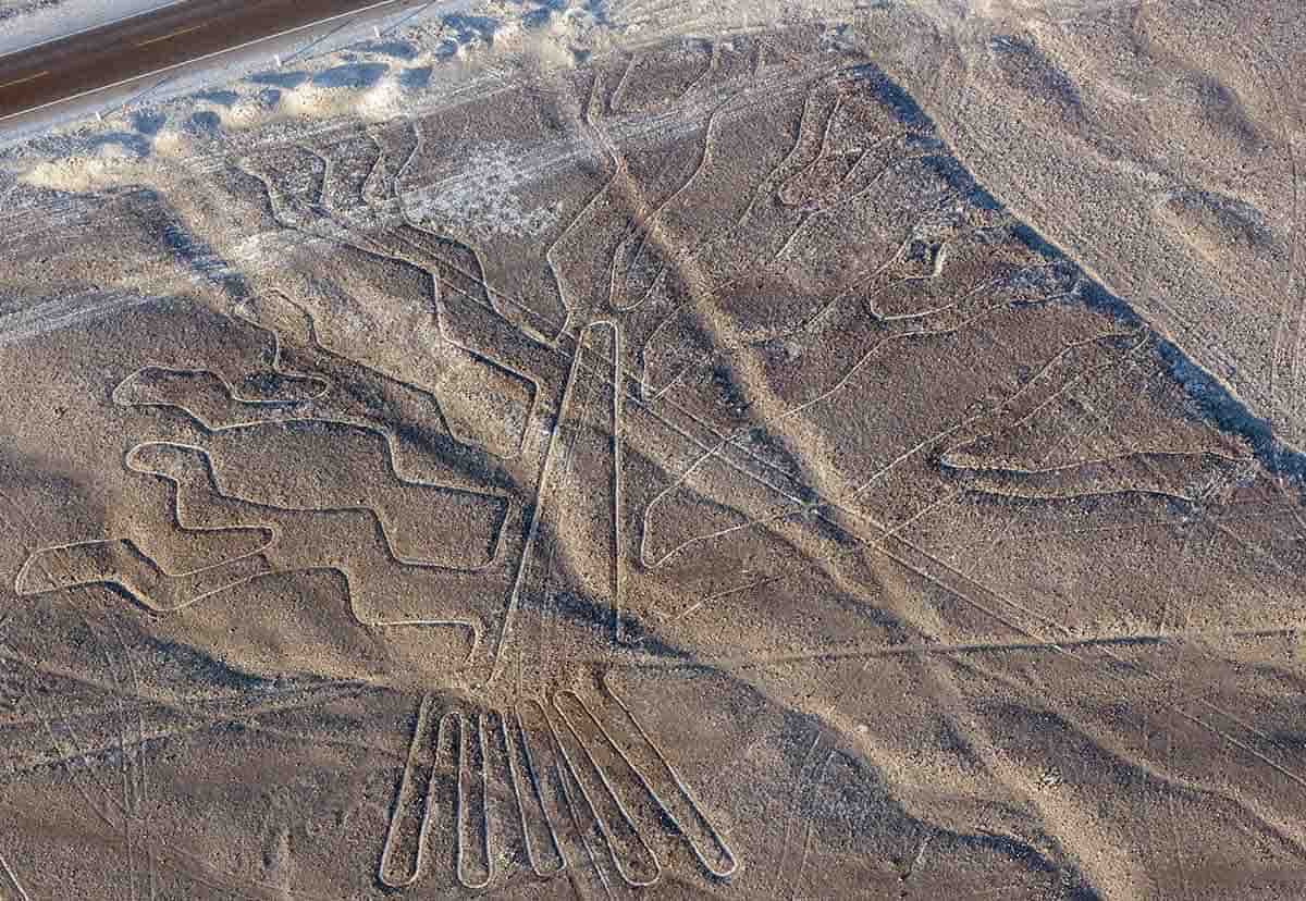 the tree nazca line