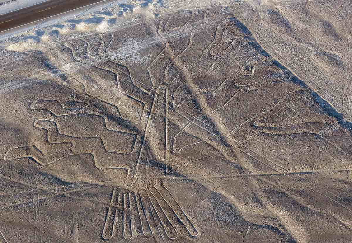 the tree nazca line