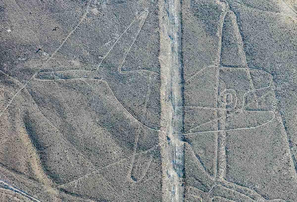 the whale nazca lines