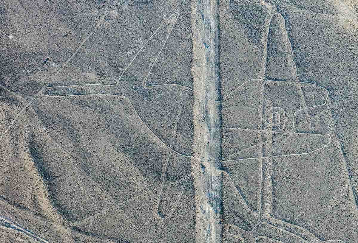 the whale nazca lines
