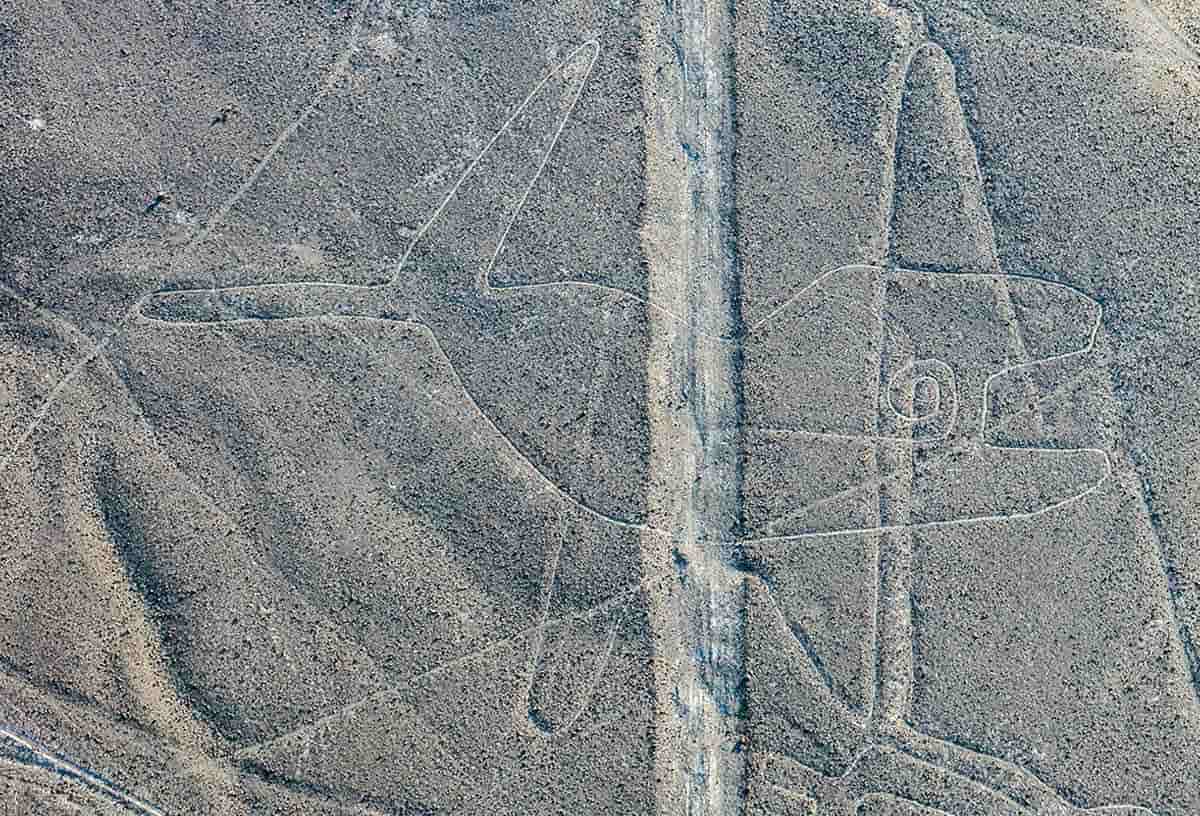 the whale nazca lines