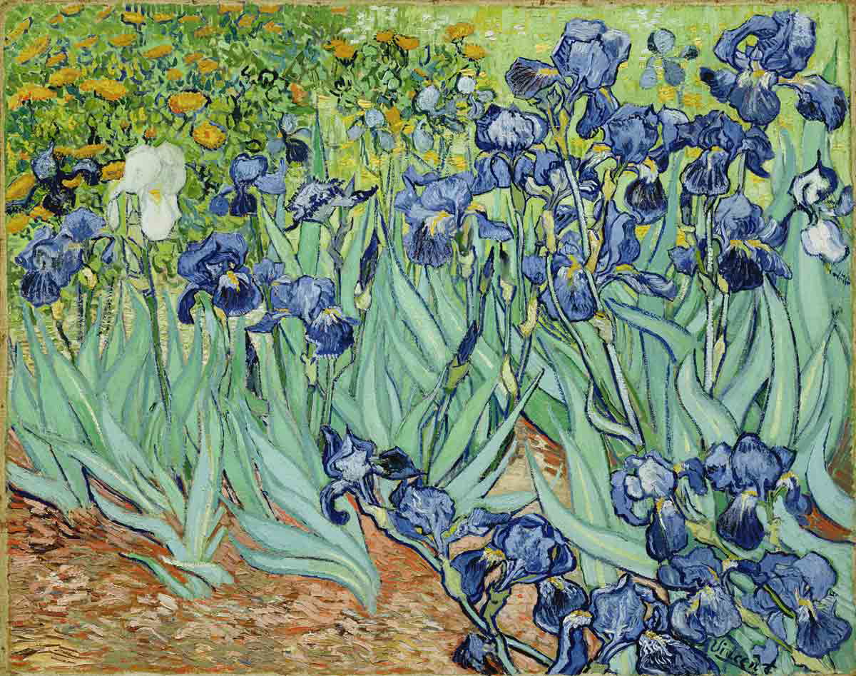 van gogh irises wiki