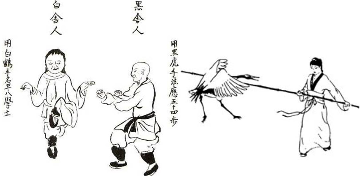 white crane diagram shaolin kung fu