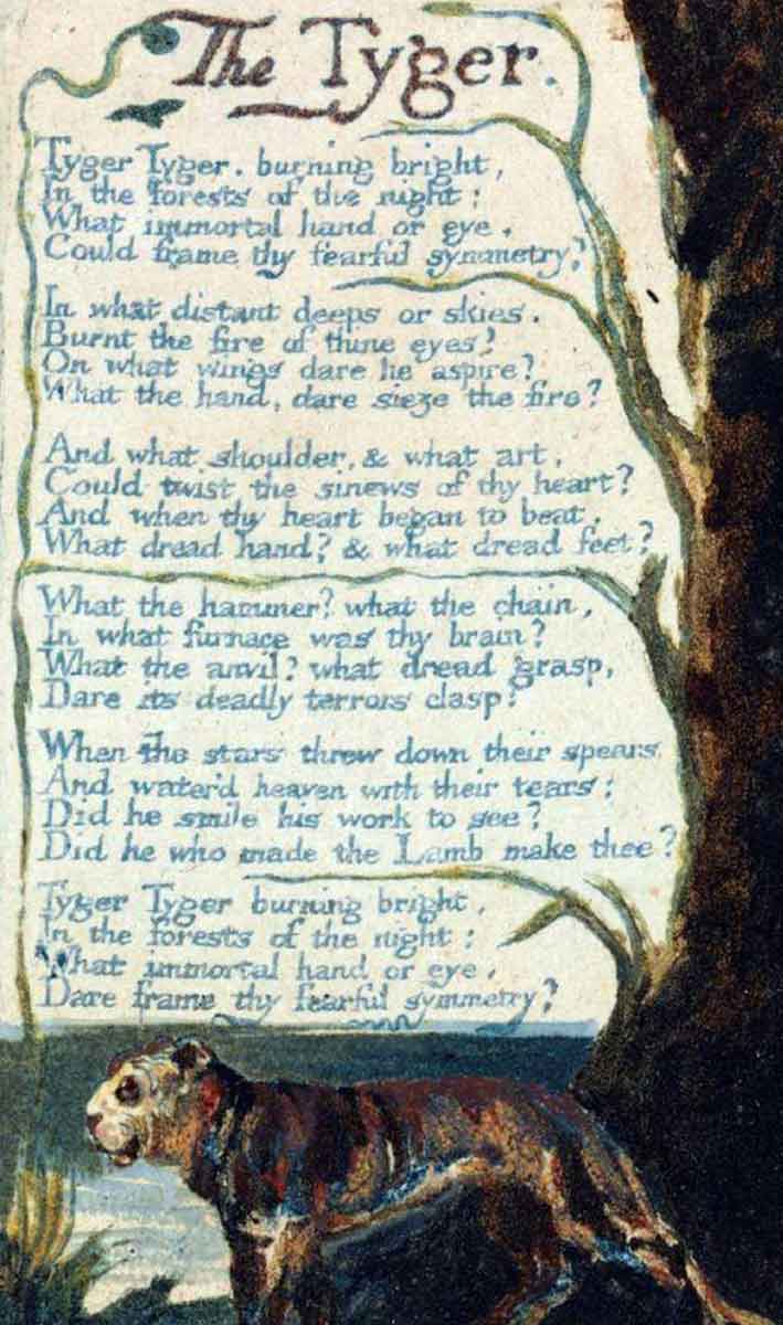 william blake the tyger