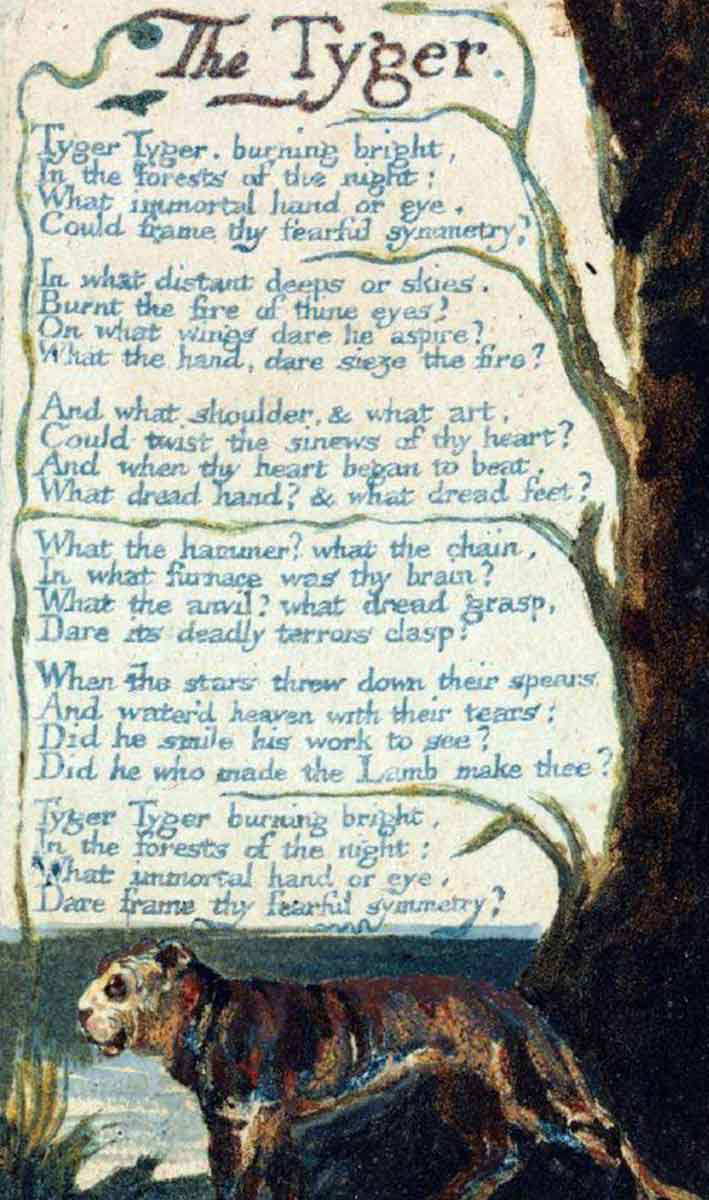 william blake the tyger