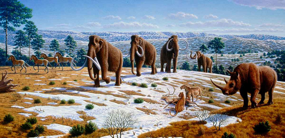 woolly-mammoth