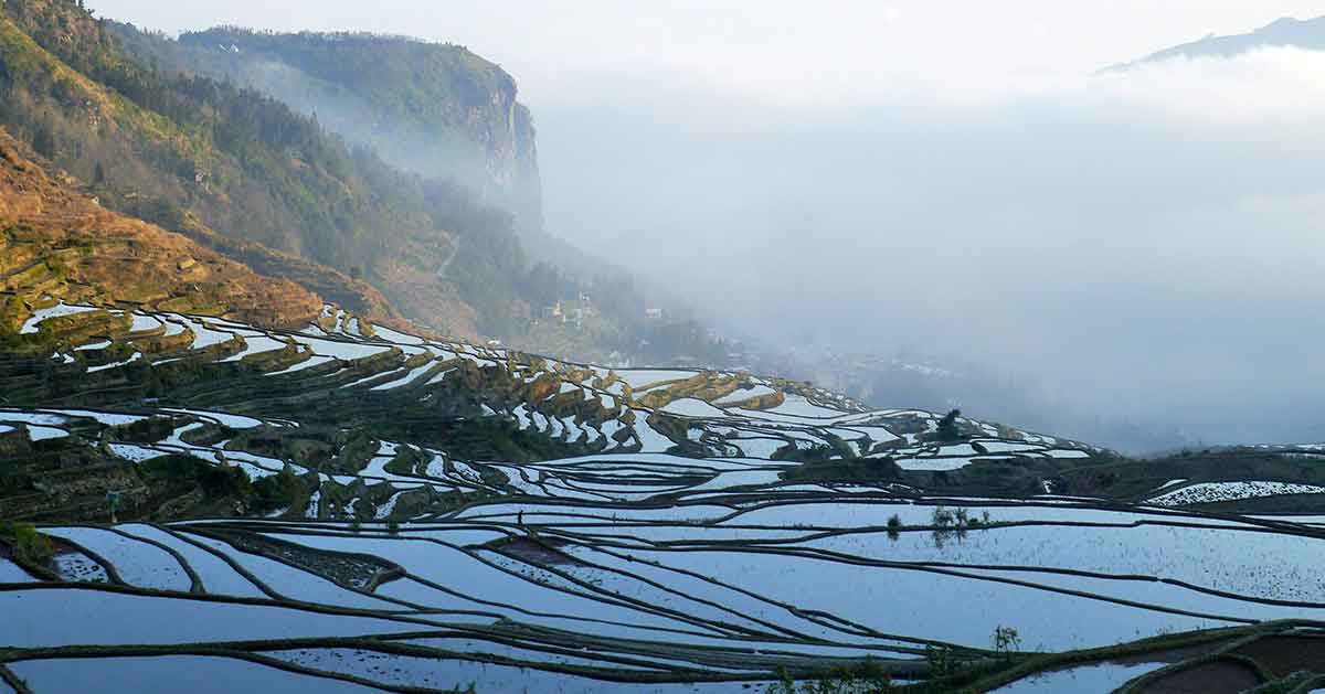 yunnan yuanyang terraces china