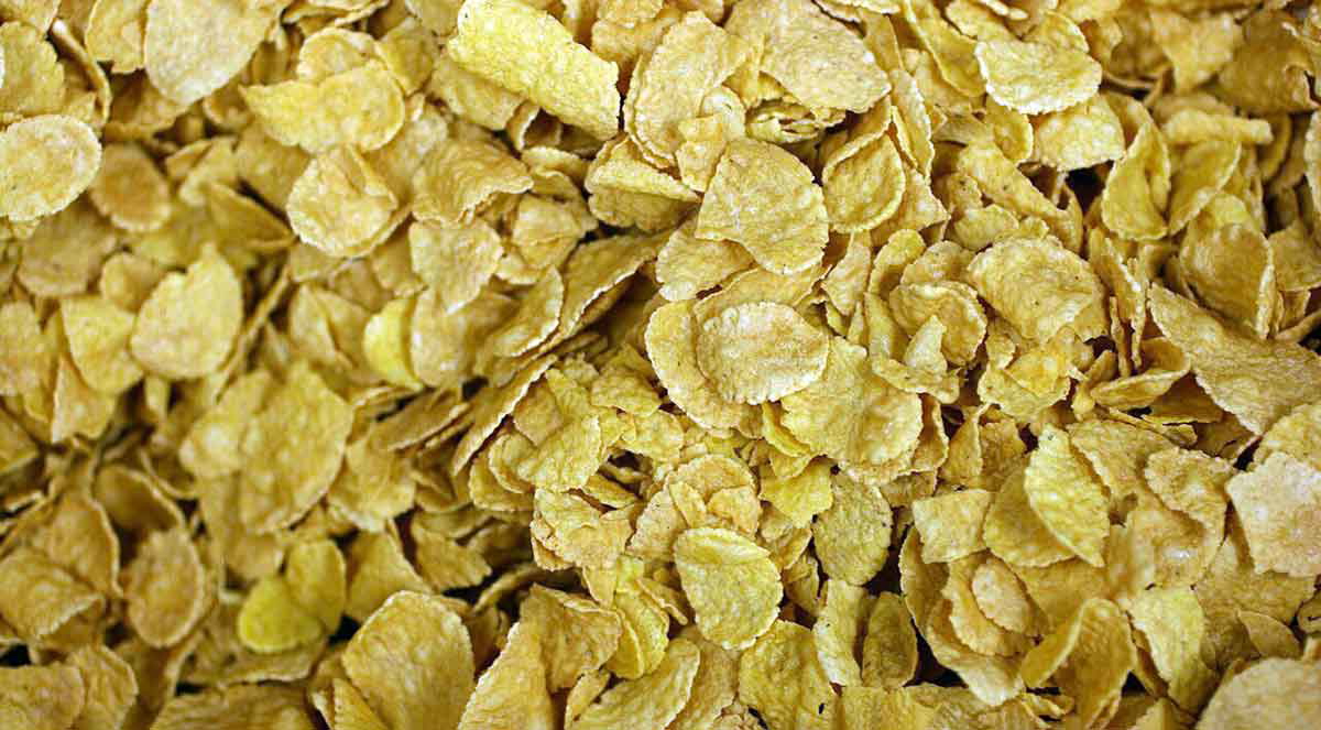 Cornflakes history Kellogg Brothers