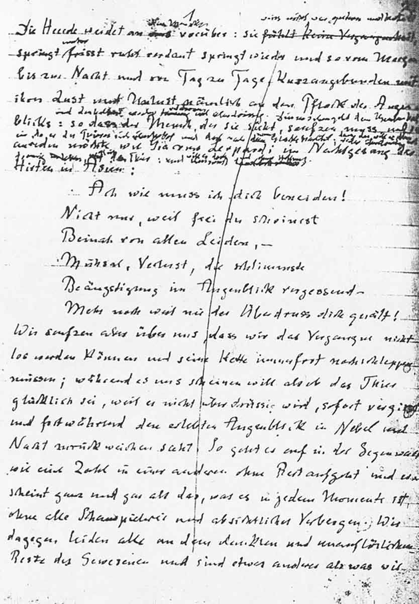 Draft Untimely Meditations