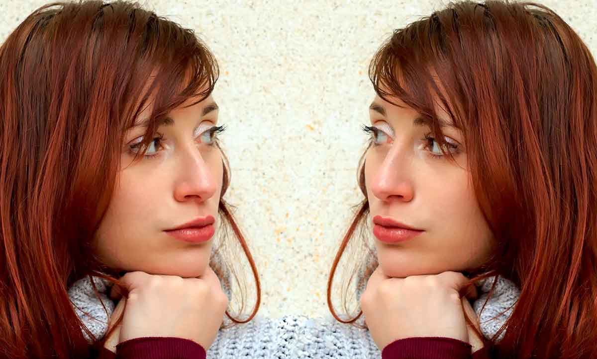 Two Minds One Brain