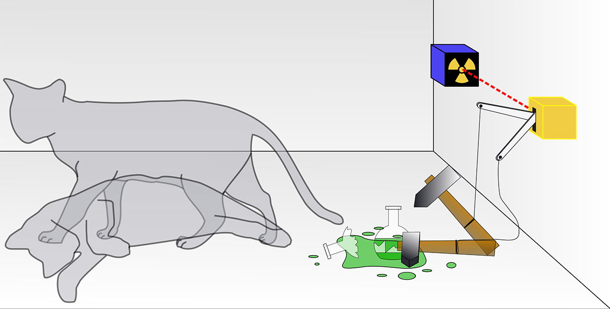 What Is Schrodingers cat