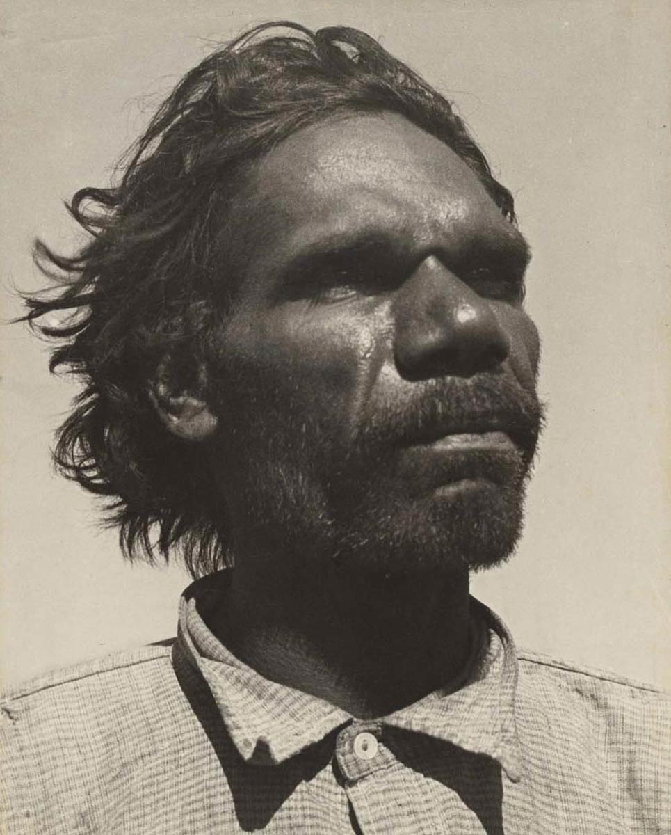 aboriginal stockman canning picture