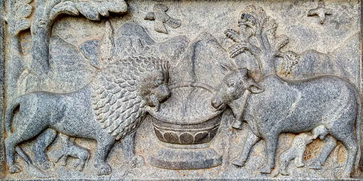 animals drinking temple jainism