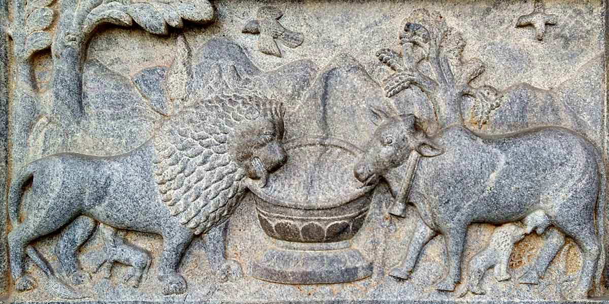 animals drinking temple jainism