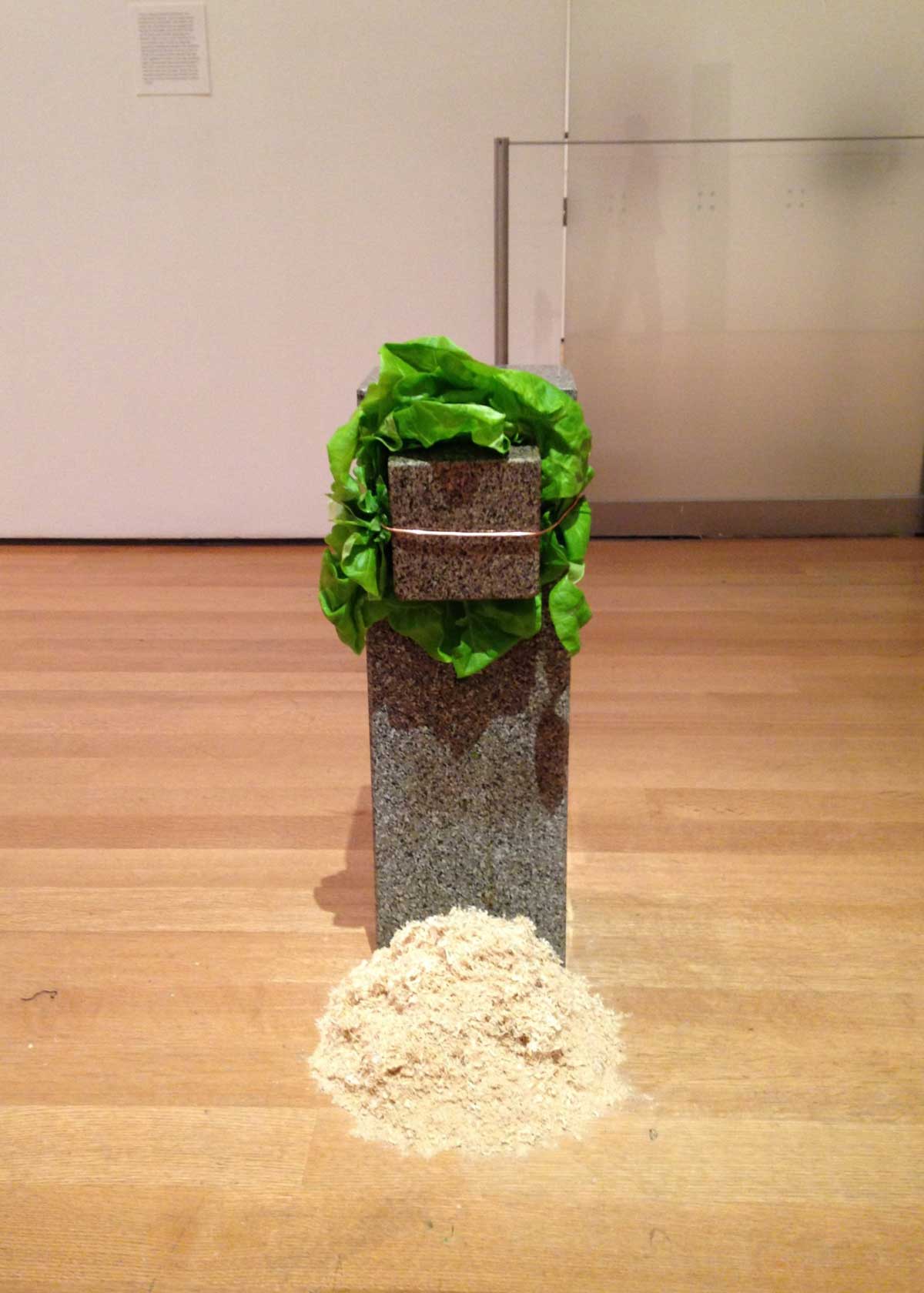 arte povera anselmo eating sculpture
